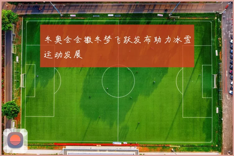 冬奥会会徽冬梦飞跃发布助力冰雪运动发展