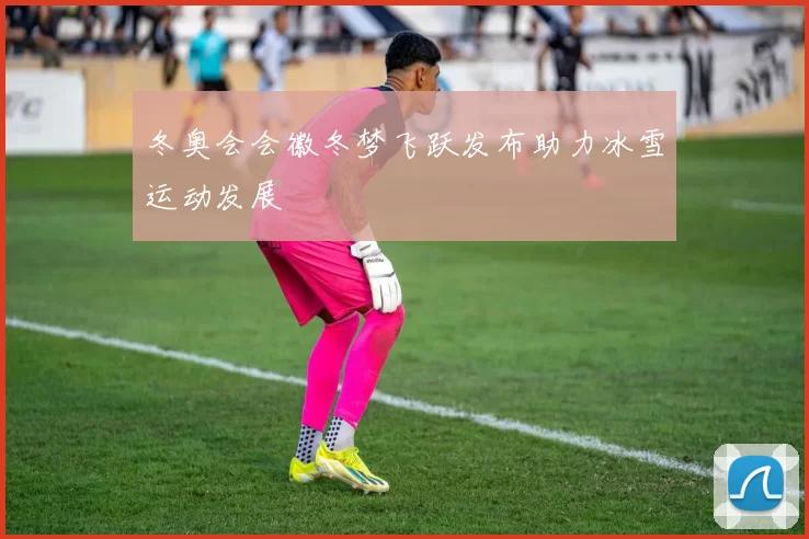 冬奥会会徽冬梦飞跃发布助力冰雪运动发展