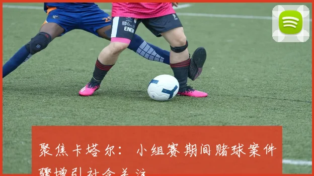 聚焦卡塔尔：小组赛期间赌球案件骤增引社会关注