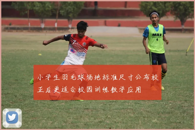 小学生羽毛球场地标准尺寸公布校正后更适合校园训练教学应用